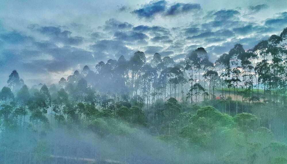 03 Days Munnar Tour