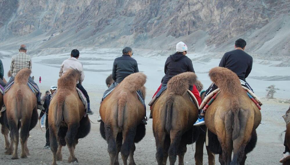 Ladakh Delight Tour