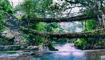 BEST OF MEGHALAYA TOUR