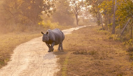 MEGHALAYA AND ASSAM TOUR