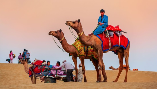 Rajasthan with Taj and Tiger